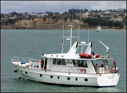 D'Urville - traditional luxry launch for corporate functions