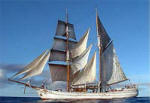 Soren Larsen - Auckland's tall ship for corporate functions, NZ coastal cruising and Pacific Island adventures