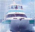 Southern Viking Fishing Trip Specialist.