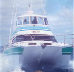 Southern Viking - fast powercat for fishing and sightseeing