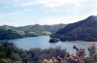 Great Barrier Island.