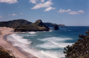 Great Barrier Island East Coast.