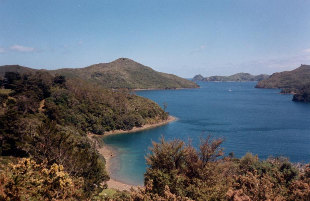 Port Fitzroy Great Barrier Island.