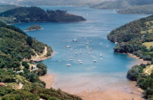 Great Barrier Island Yachts at achorage.